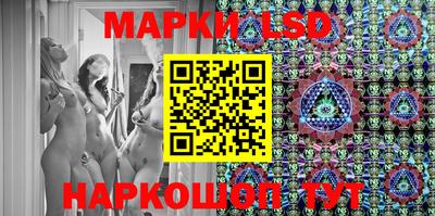крисы Славгород