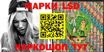 крисы Славгород