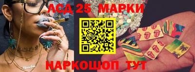 крисы Славгород