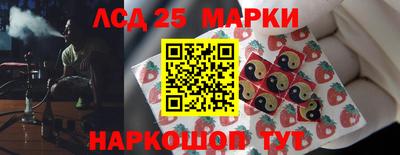 крисы Славгород