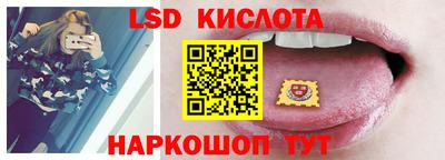 крисы Славгород