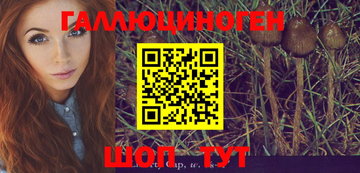 Псилоцибиновые грибы Psilocybe  Вход с VPN  Нерюнгри 